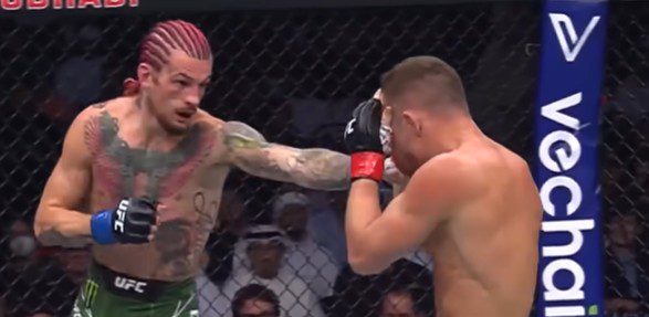 Sean O’Malley Ready to Wait for Petr Yan, Eyes Massive Bantamweight Rematch